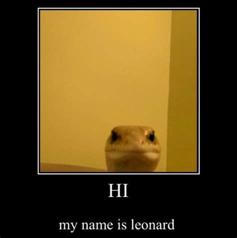 Lizard Meme Face - img-Baback