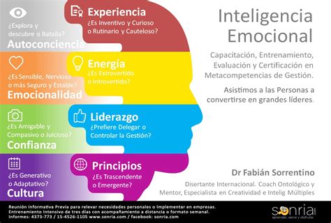 Explora Los 5 Componentes Clave De La Inteligencia Emocional Aveec