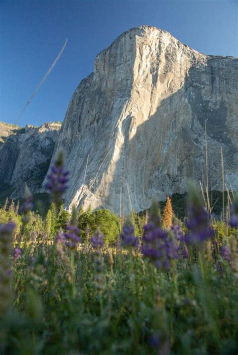 Good Trip Adventures | Discover Yosemite National Park