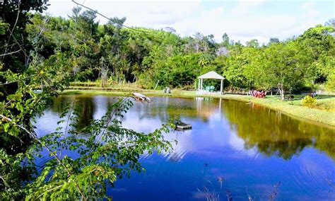 Pesque pague e Restaurante SITIO PARAISO DAS ÁGUAS Brasil