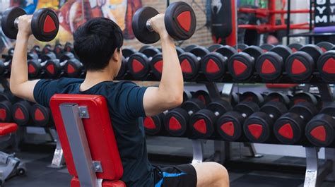 Latihan Dumbbell Di Rumah 58 Koleksi Gambar