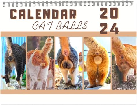 Calendrier 2024 pour les amoureux des chats Calendrier drôle de chats