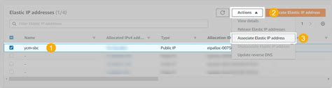 Allocate And Associate Elastic Ip Addresses
