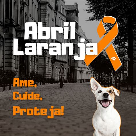 Abril Laranja mês mundial de combate à crueldade aos animais Linavet