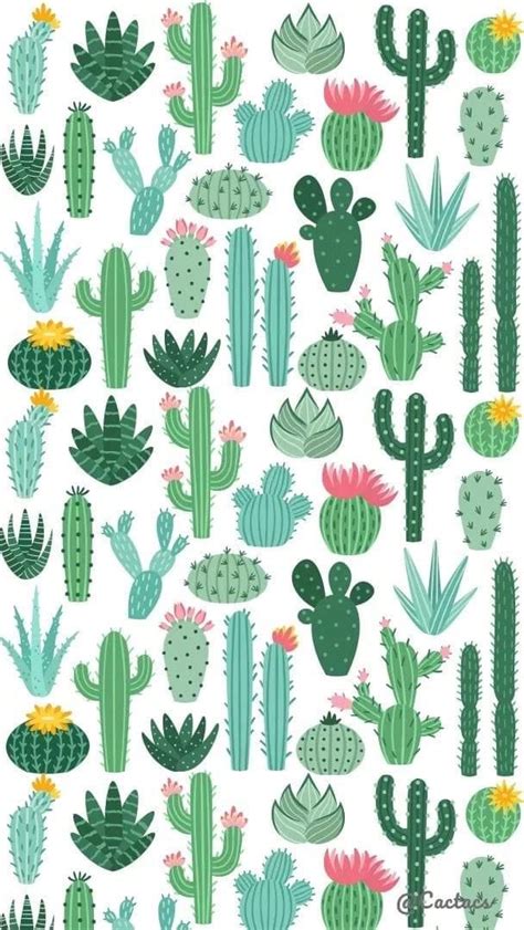 Plantillas De Cactus Iphone Background Cactus Iphone Wallpaper