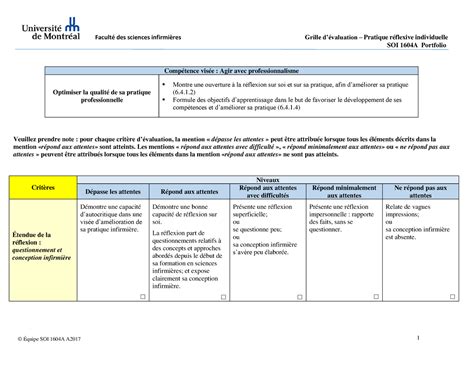 Grille évaluation Pratique réflexive SOI 1604A A2017 Faculté des