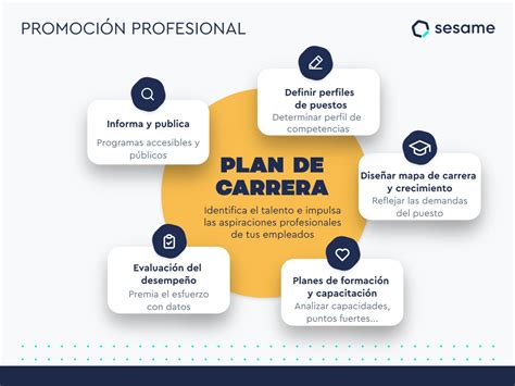 Plan De Carrera Profesional Ejemplo