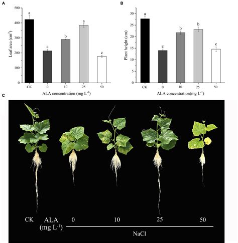 Frontiers 5 Aminolevulinic Acid Ala Alleviated Salinity Stress In