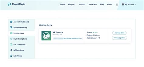 license key wp team