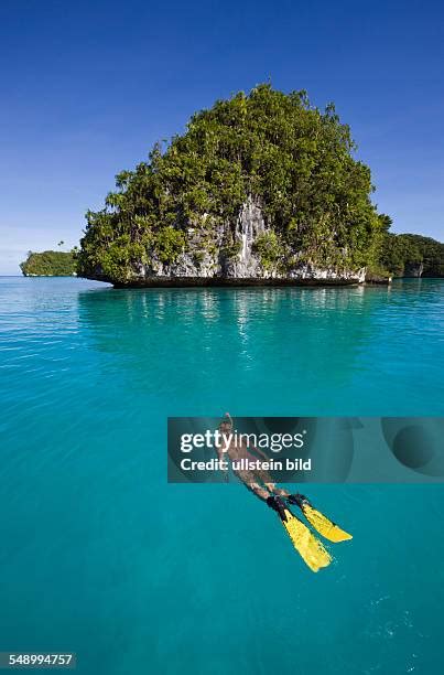 Snorkeling At Islands Of Palau Photos And Premium High Res Pictures