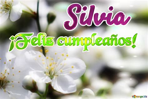 Arriba 42 Images Imágenes Feliz Cumpleaños Silvia Viaterramx