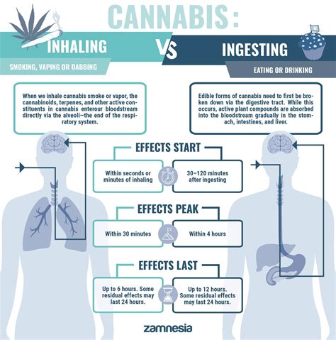 How To Properly Inhale Weed Zamnesia