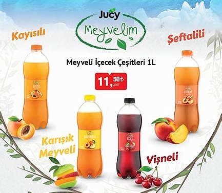 Jucy Meyvelim Meyveli İçecek Çeşitleri 1 L İndirimde Market