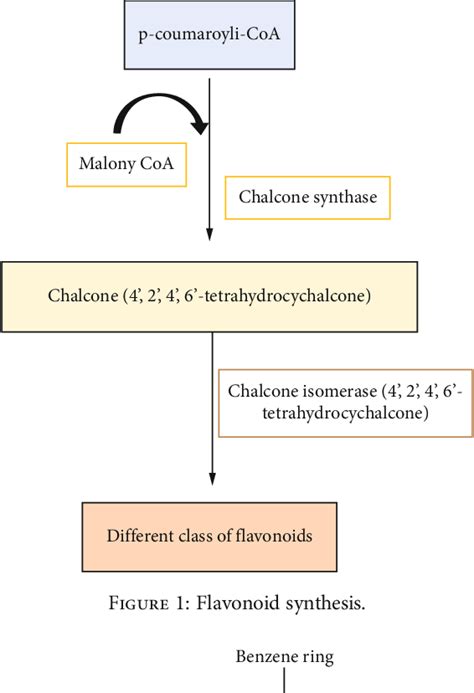 Figure 1 From Flavonoids A Bioactive Compound From Medicinal Plants And