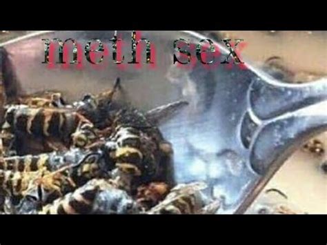 Meth Sex November Nd YouTube
