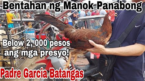 Isa Sa Pinakamalakas Na Bentahan Ng Manok Panabong Presyo Ng Manok Sa