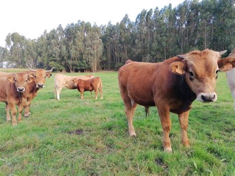 Pesca El Gobierno Destina A Asturias M S De Millones De Euros