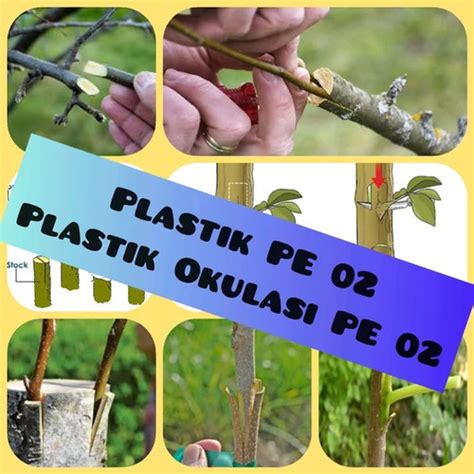 Jual Plastik Pe Plastik Okulasi Pe Plastik Sambung Pucuk Tanaman