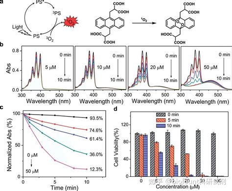 单线态氧荧光探针 SOSGABDADPBFTEMP 知乎