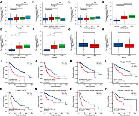 Frontiers An Integrated Analysis Of The Identified Prpf As An Onco