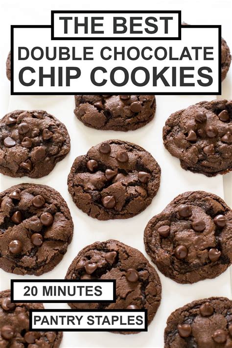 The BEST Double Chocolate Chip Cookies READER Favorite Chef Savvy