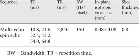 Mri Parameters Used For Multi Echo Spin Echo T2 Weighted Imaging