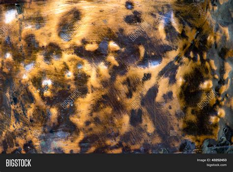 Bronze Metal Texture Image And Photo Free Trial Bigstock