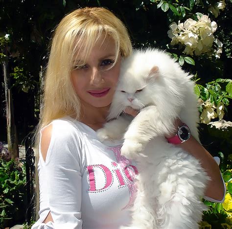 Funny Persian Cat Photography 2013 | Funny Animals