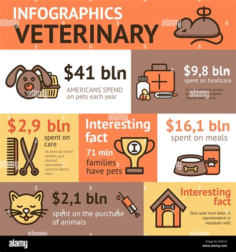 Veterinary Infographic Set Stock Vector Image & Art - Alamy