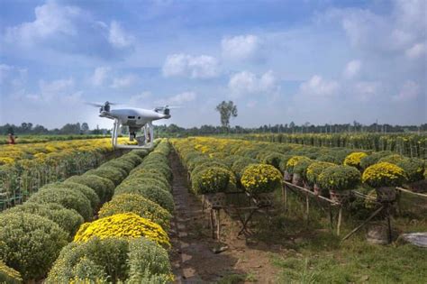 Agricultura De Precisão Reunimos Tudo O Que Você Precisa Saber