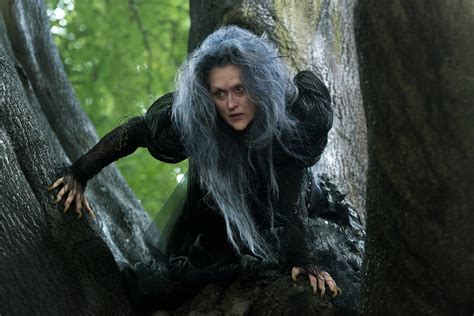 The Witch Into The Woods Disney Wiki