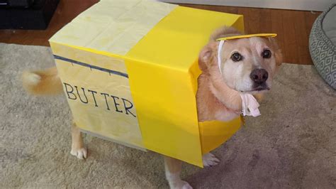 butter dog the dog which the butter butter dog the dog with the butter ...