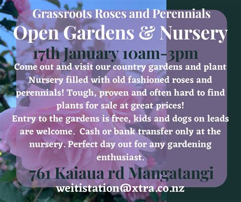 Grassroots Roses Open Gardens Grassroots Rose Nursery