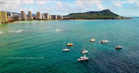 The Best Turtle Canyon Snorkeling Tours From Waikiki The Hawaii