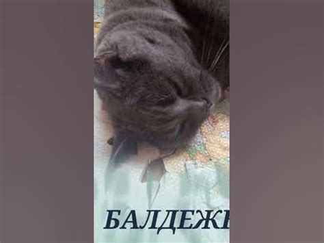 Балдеж продолжается! - YouTube