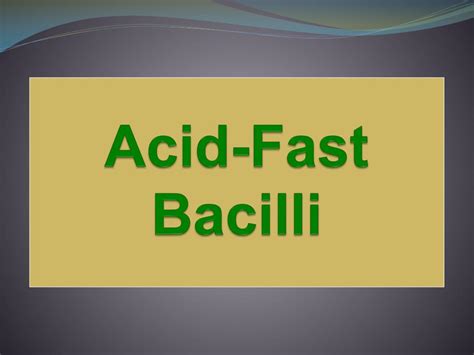 PPT - Acid-Fast Bacilli PowerPoint Presentation, free download - ID:6960109