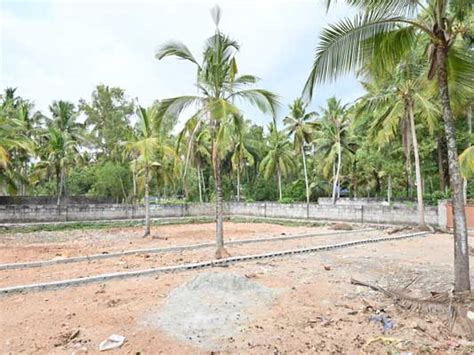 Residential House Plots For Sale At Kazhakuttam Menamkulam Trivandrum