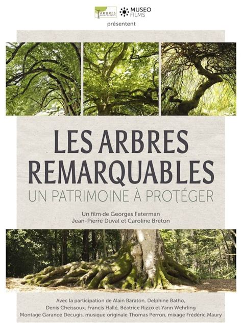 Les arbres remarquables CinéMutins par Les Mutins de Pangée