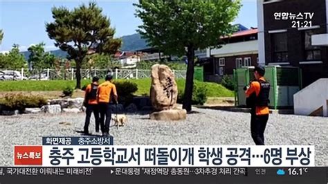 충주 고등학교서 떠돌이개 학생 공격6명 부상 동영상 Dailymotion