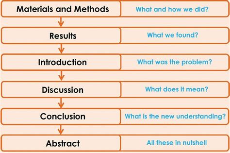 Reflective Essay: Imrad format research