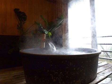 The Art Of The Hot Bath In Seitai Itsuo Tsuda School