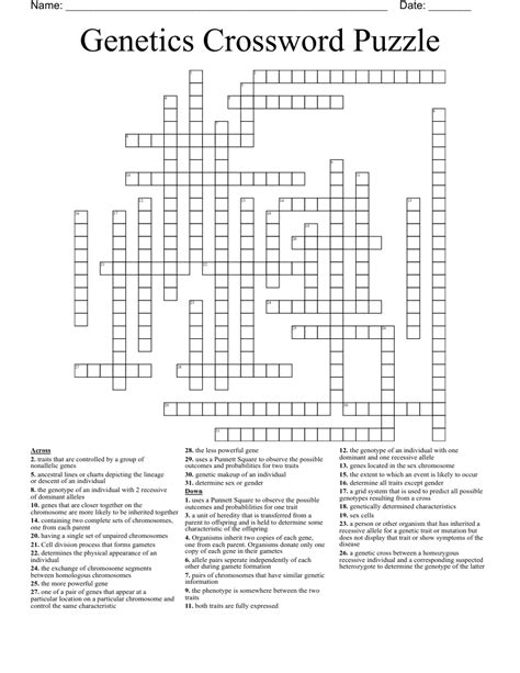 Mendelian Genetics Crossword Wordmint