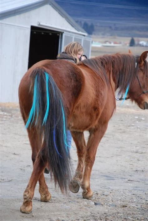 30 Amazing Horse Tail Braids Ideas To Make Your Friends Jealous Tail