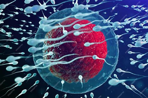 Premium Photo | 3d illustration sperm and egg cell, ovum. sperm ...