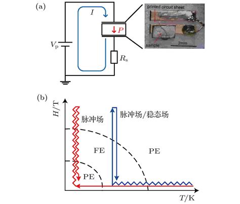 A Pulsed High Magnetic Field Facility For Electric Polarization