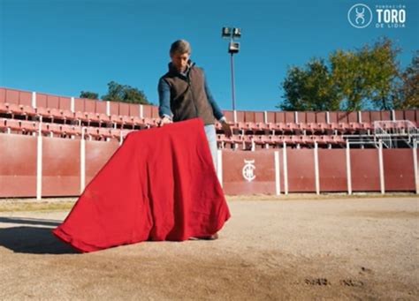 Nace Aprende a ver toros un proyecto de promoción de la tauromaquia