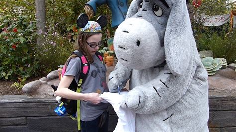 Disney Characters Meeting Eeyore From Winnie The Pooh At Disneyland