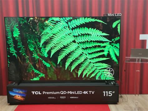 Avec Une Taille De 115 Pouces Tcl Dévoile La Plus Grande Tv Qd Mini