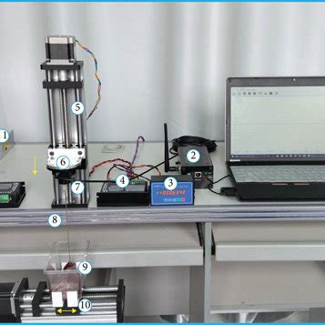 The Entire Simulation System Of The Biomechanics Experiment