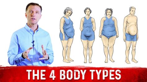 What Are The 4 Body Types Drberg Explains Different Body Types And Belly Fat Youtube